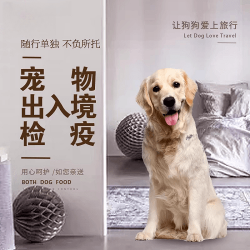 乌鲁木齐市宠物托运到哥伦比亚猫狗宠物入境规定和
