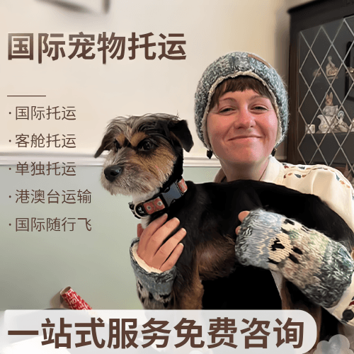 乌鲁木齐市国际宠物托运到阿根廷宠物入境规定和要