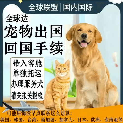 乌鲁木齐市宠物托运到柬埔寨宠物入境规定和要求