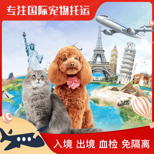 乌鲁木齐市宠物托运到美国宠物入境最新规定和要求