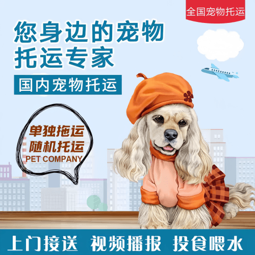 满财乌鲁木齐市宠物全球达宠物托运作为专业的宠物运输代理机构